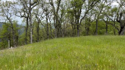 13 Long Ridge Trail - IMG_8037 - © Coldwell Banker Realty 2025