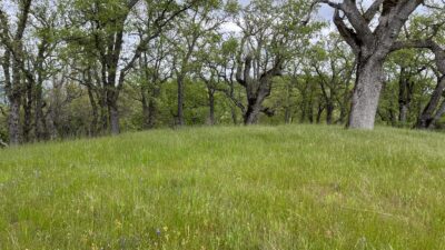 13 Long Ridge Trail - IMG_8038 - © Coldwell Banker Realty 2025