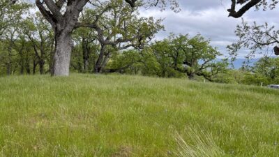 13 Long Ridge Trail - IMG_8039 - © Coldwell Banker Realty 2025