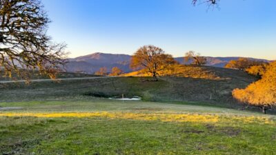 13MLS_23 VT_4616 - 23 Vasquez Trail - La Tierra Realty 2023