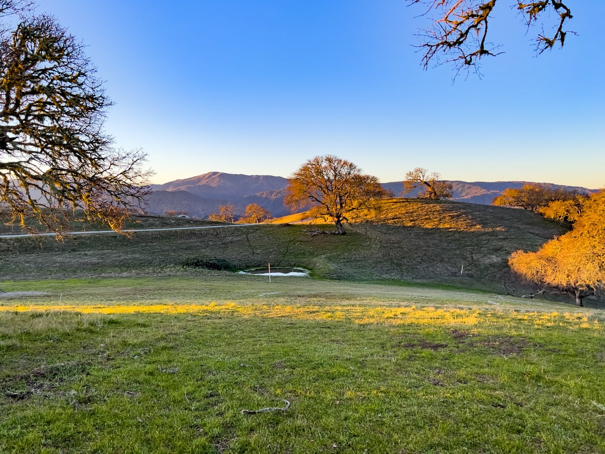 13MLS_23 VT_4616 - 23 Vasquez Trail - La Tierra Realty 2023