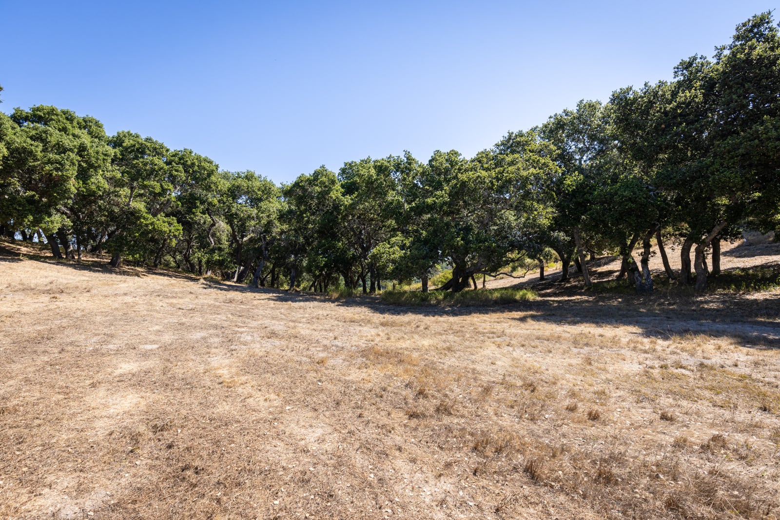 14-3-8 Corral Run- - Carmel Realty Company 2023