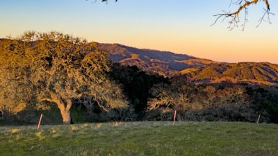 14MLS_23 VT_4621 - 23 Vasquez Trail - La Tierra Realty 2023