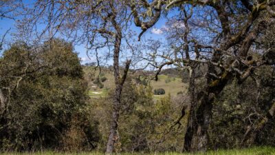 15 29 AS - 29 Arroyo Sequoia - © Carmel Realty Company 2025