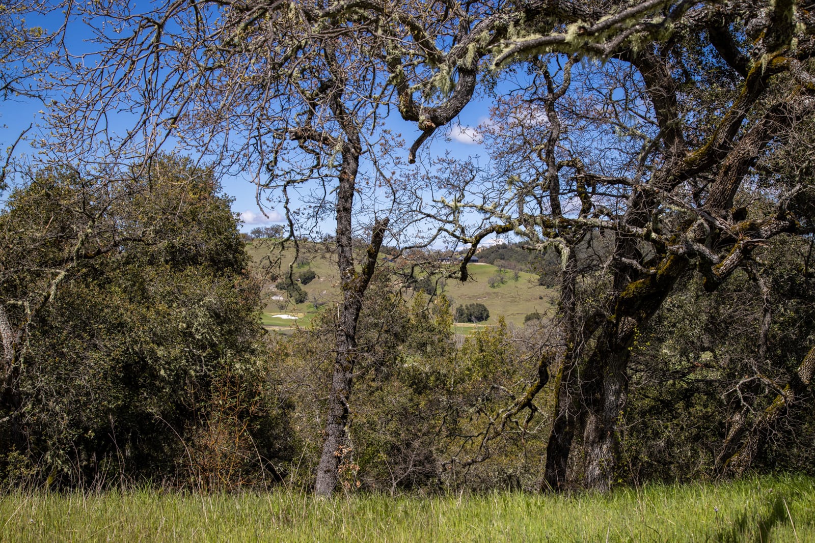 15 29 AS - 29 Arroyo Sequoia - © Carmel Realty Company 2025