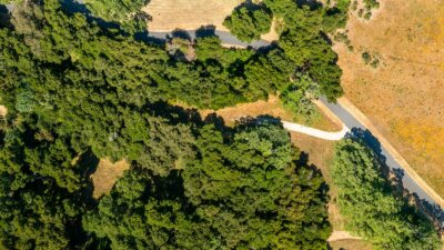 15 3_Rumsen_Trace_Birdseye