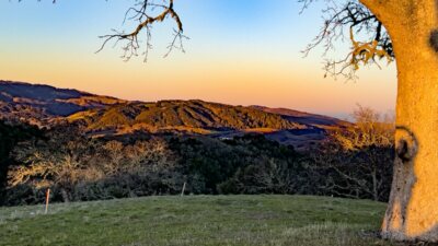 15MLS_23 VT_4623 - 23 Vasquez Trail - La Tierra Realty 2023