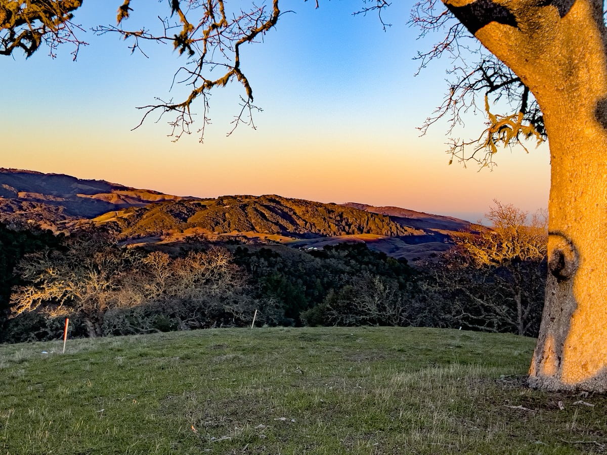 15MLS_23 VT_4623 - 23 Vasquez Trail - La Tierra Realty 2023