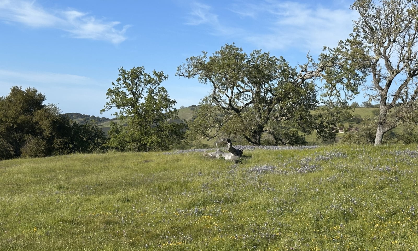 17-8TP - 8 Touche Pass - © Carmel Realty Company 2025