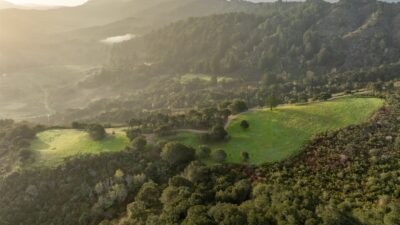 2-21-17-Rancho-San-Carlos-Rd-LR-Canning Properties Group 2025 downsized