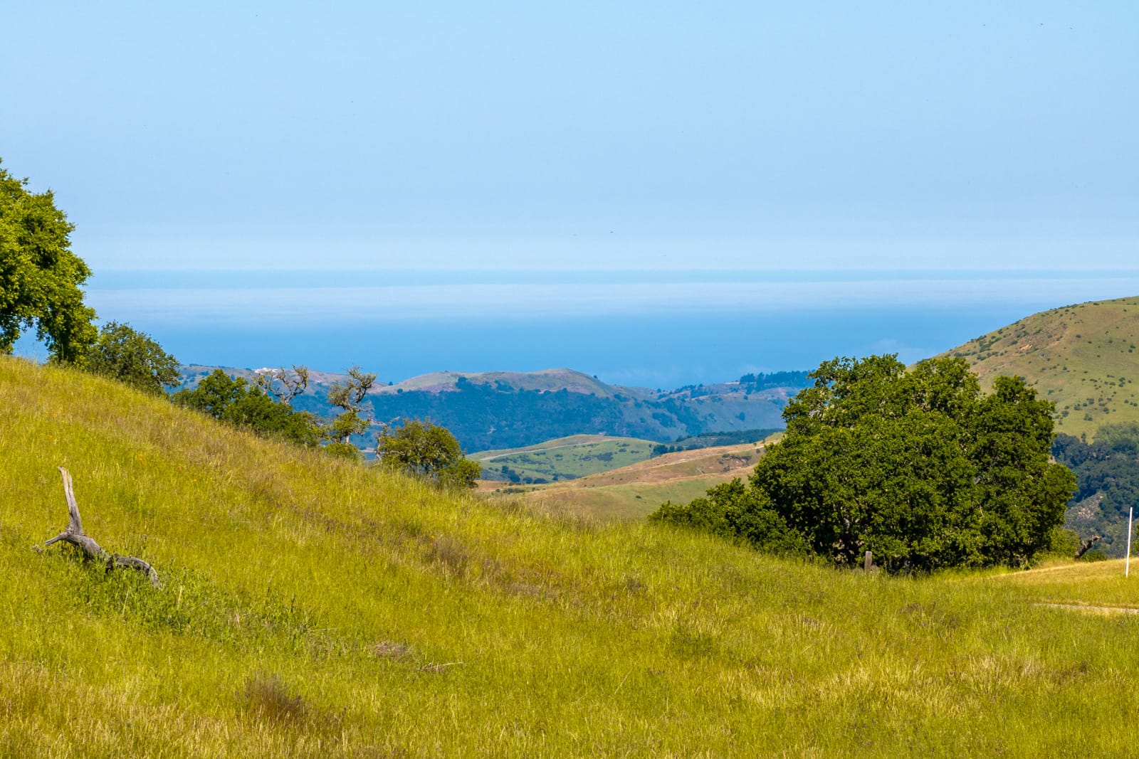 2 - 24_Vasquez_Trail_023_ - © Canning Properties Group 2025