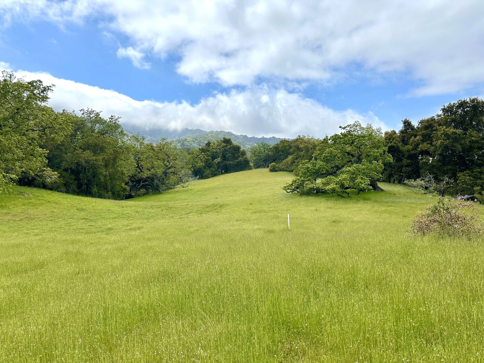 2 29 AS - 29 Arroyo Sequoia - © Carmel Realty Company 2025