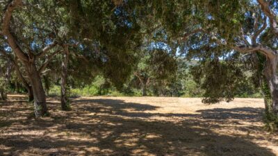 2 - 4_Goodrich_Trail_016 - © Canning Properties Group 2025
