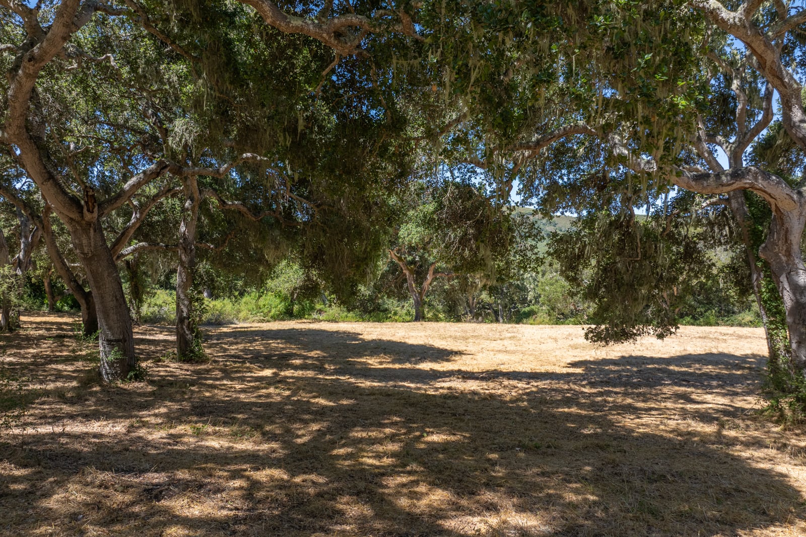 2 - 4_Goodrich_Trail_016 - © Canning Properties Group 2025