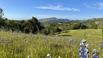 2-8TP - 8 Touche Pass - © Carmel Realty Company 2025
