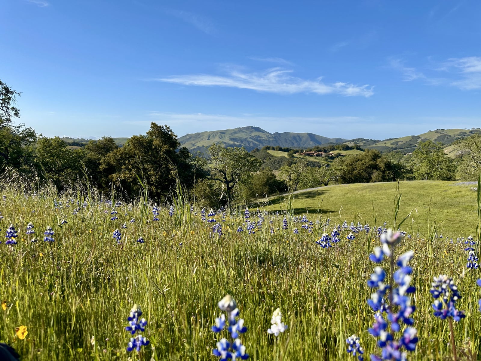 2-8TP - 8 Touche Pass - © Carmel Realty Company 2025