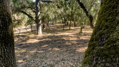 2 Arroyo Sequoia - © La Tierra Realty 2023 -Lot 88_05_2201 - 5