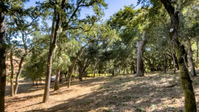 2 Arroyo Sequoia - © La Tierra Realty 2023 -Lot 88_07_2199 - 3