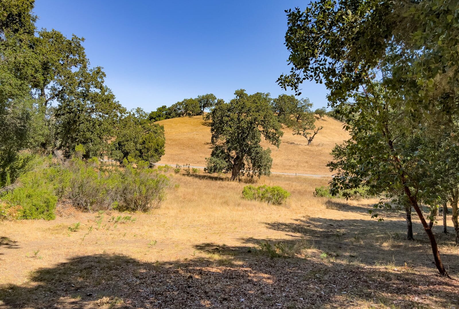 2 Arroyo Sequoia - © La Tierra Realty 2023 -Lot 88_08_5030 - 9