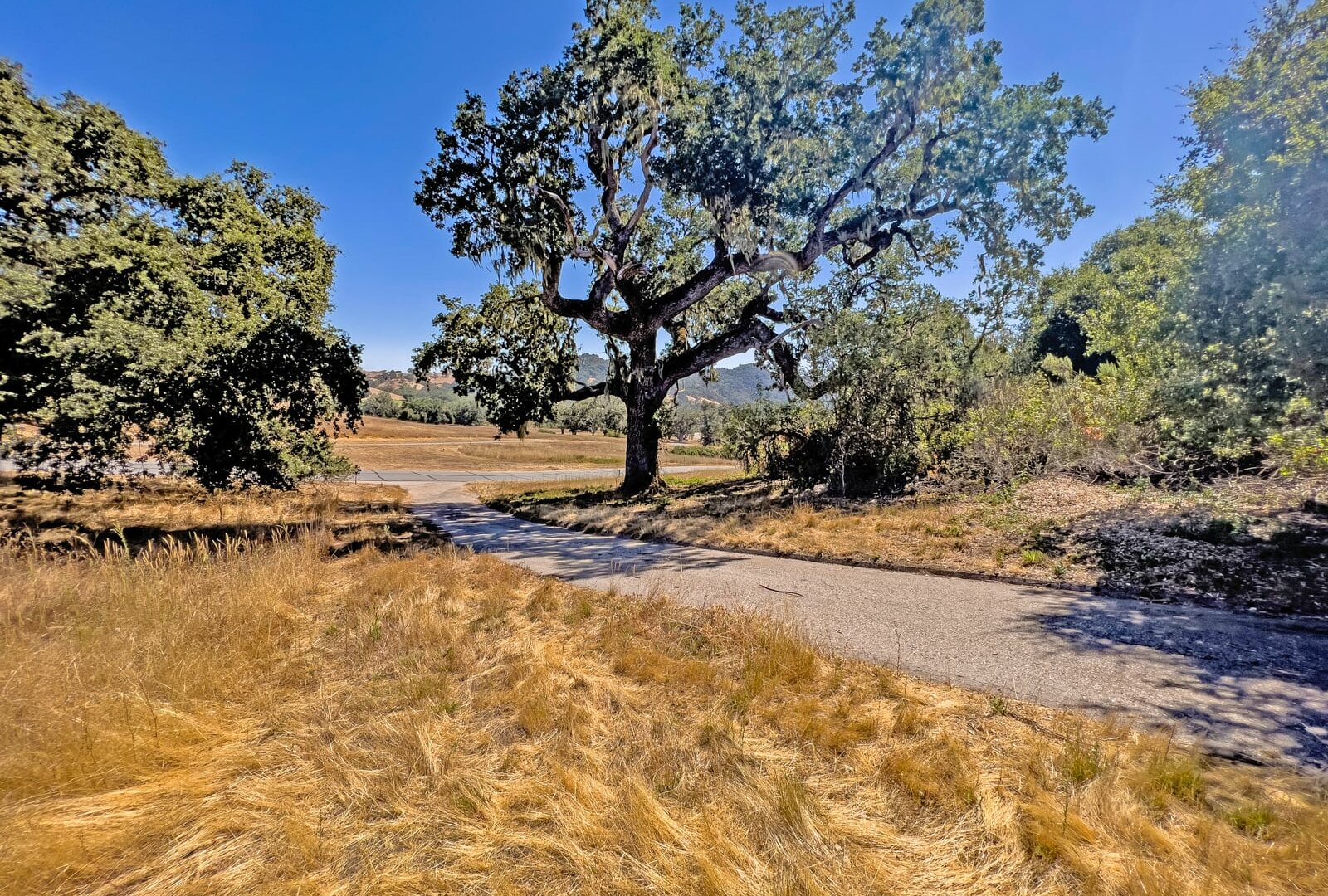 2 Arroyo Sequoia - © La Tierra Realty 2023 -Lot 88_11_5032 - 10