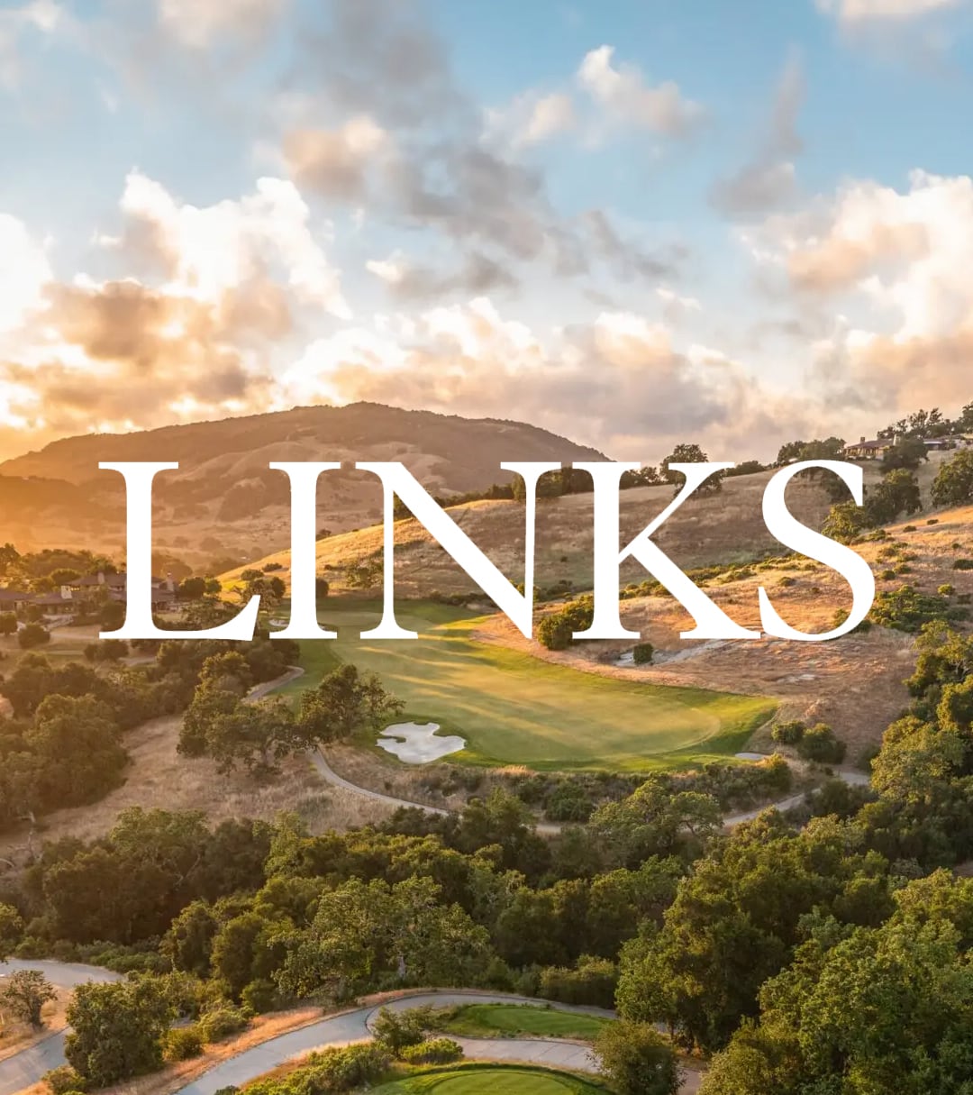 2024 LINKS _ News Room Thumbnail Template