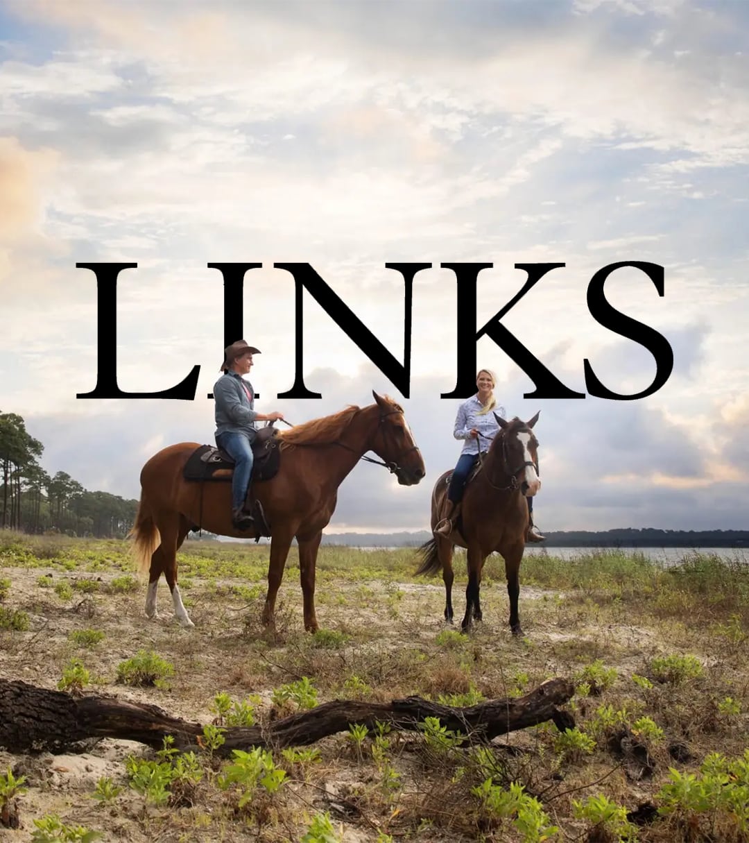 2025 LINKS Mag - News Room Thumbnail Template