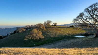 20MLS_23 VT_4656 - 23 Vasquez Trail - La Tierra Realty 2023