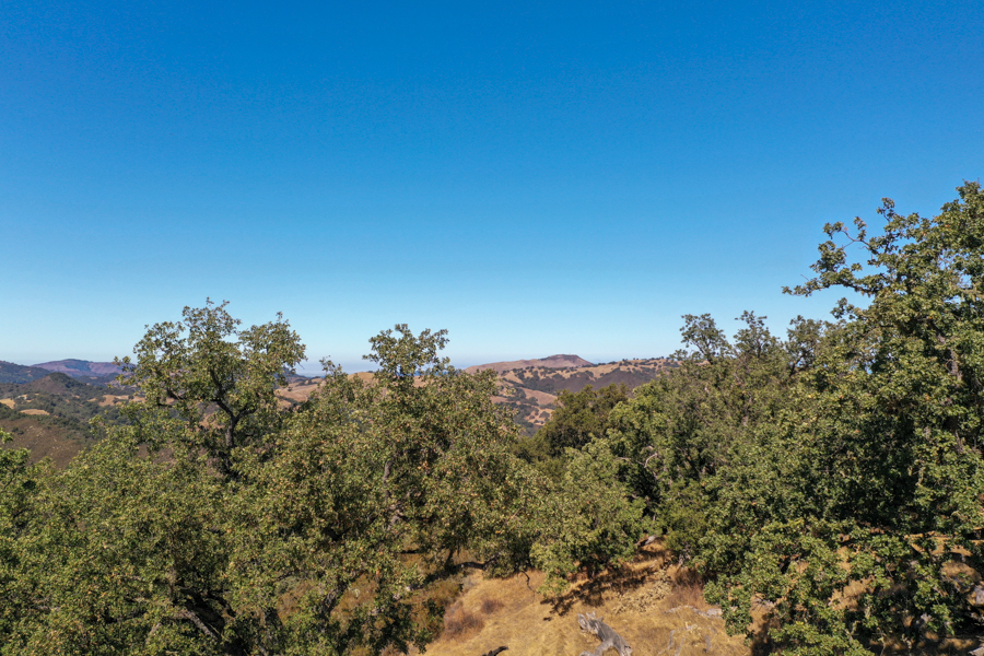 Lot 237 21 Long Ridge at Santa Lucia Preserve