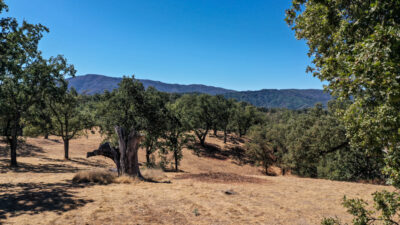 Lot 237 21 Long Ridge at Santa Lucia Preserve