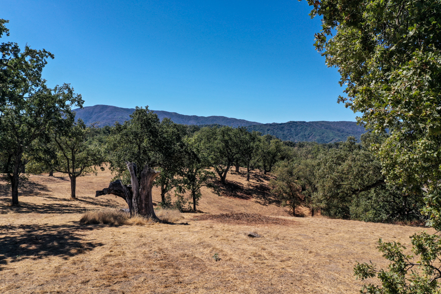 Lot 237 21 Long Ridge at Santa Lucia Preserve