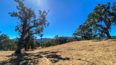 Lot 237 21 Long Ridge at Santa Lucia Preserve