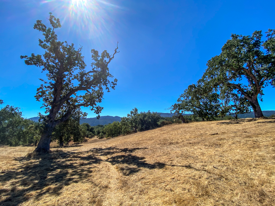 Lot 237 21 Long Ridge at Santa Lucia Preserve