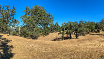 Lot 237 21 Long Ridge at Santa Lucia Preserve