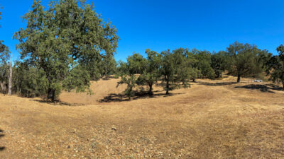 Lot 237 21 Long Ridge at Santa Lucia Preserve