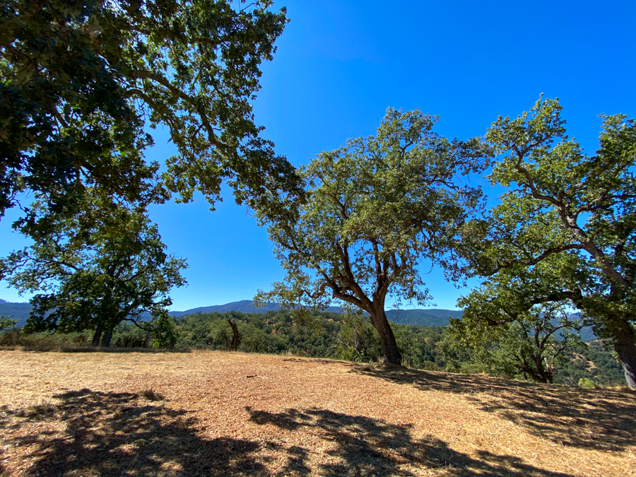 Lot 237 21 Long Ridge at Santa Lucia Preserve