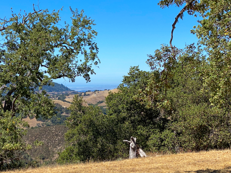 Lot 237 21 Long Ridge at Santa Lucia Preserve