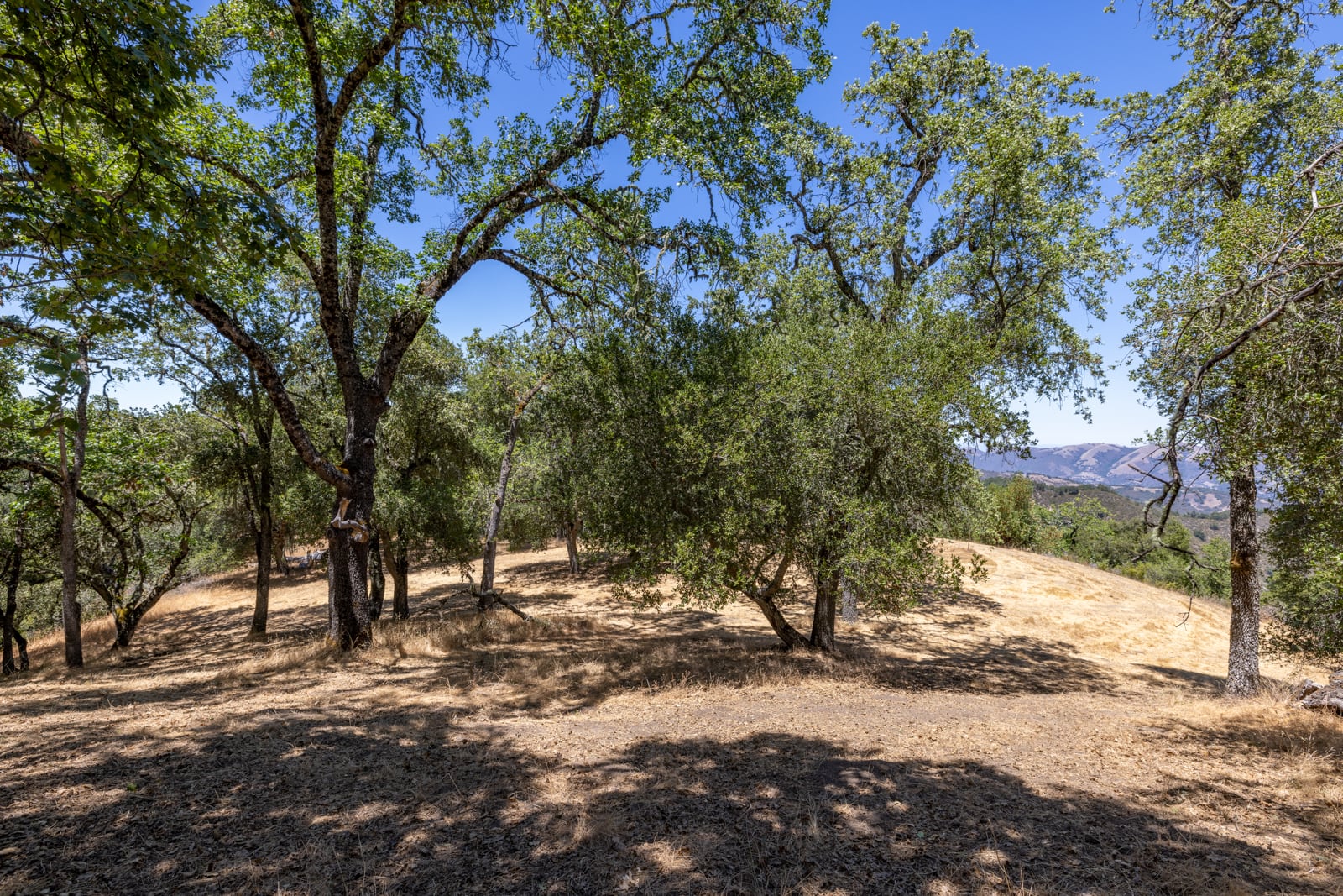 229 Santa Lucia Preserve - High Resolution (10 of 68)