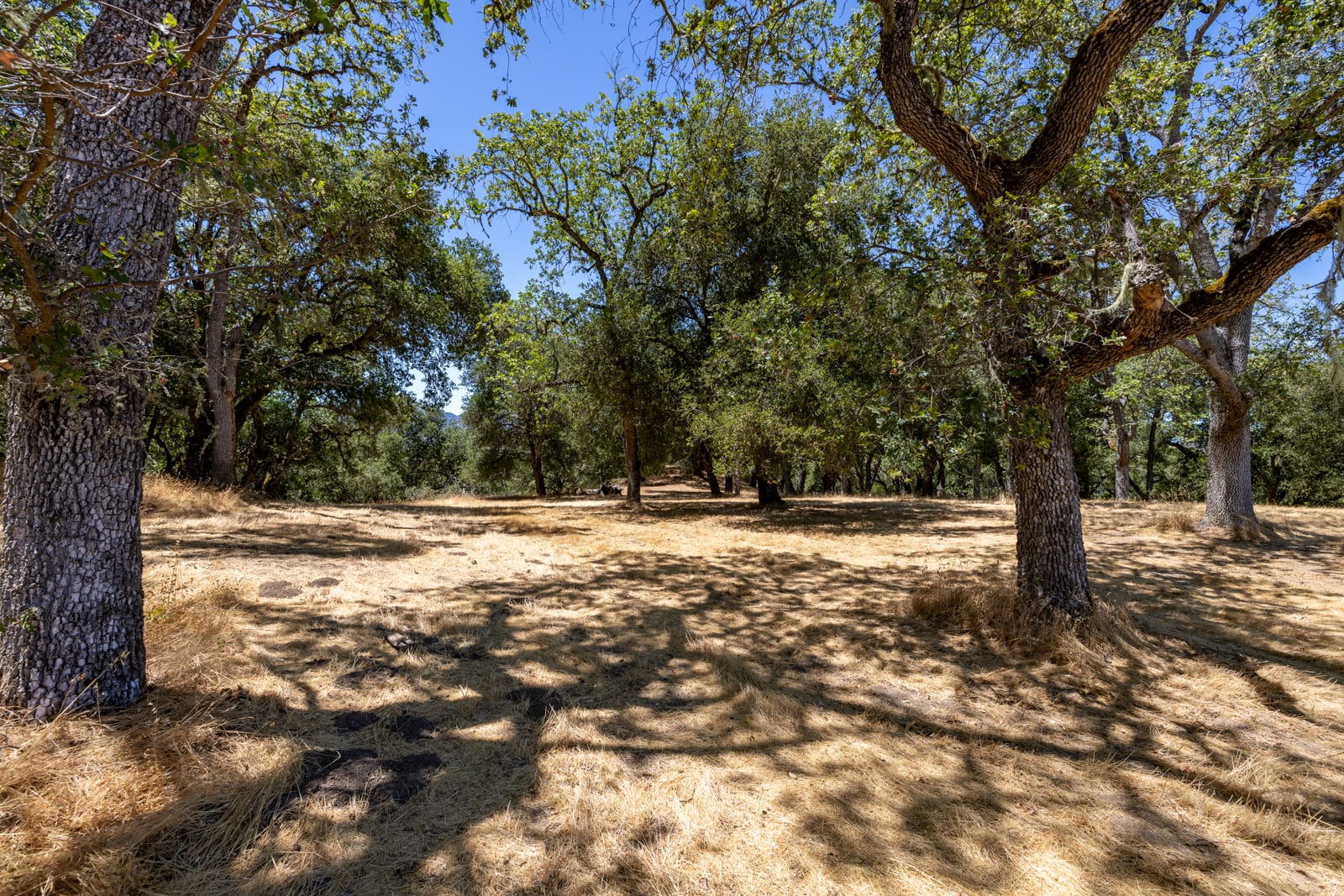 229 Santa Lucia Preserve - High Resolution (13 of 68)