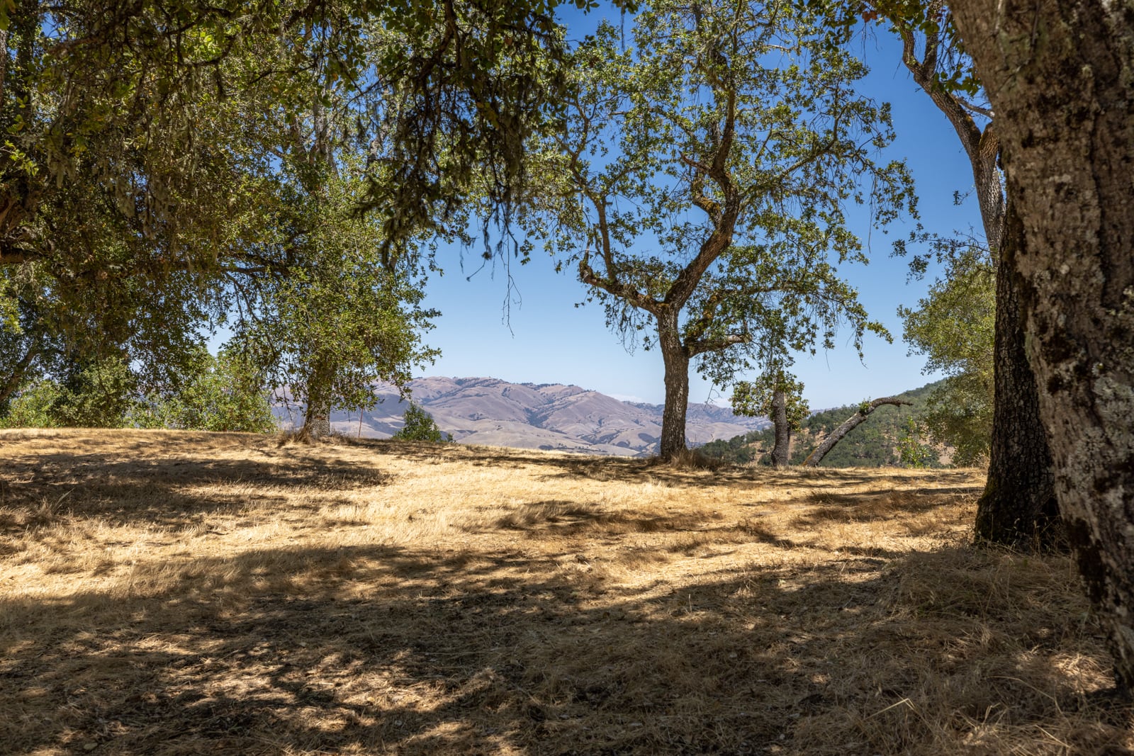 229 Santa Lucia Preserve - High Resolution (15 of 68)