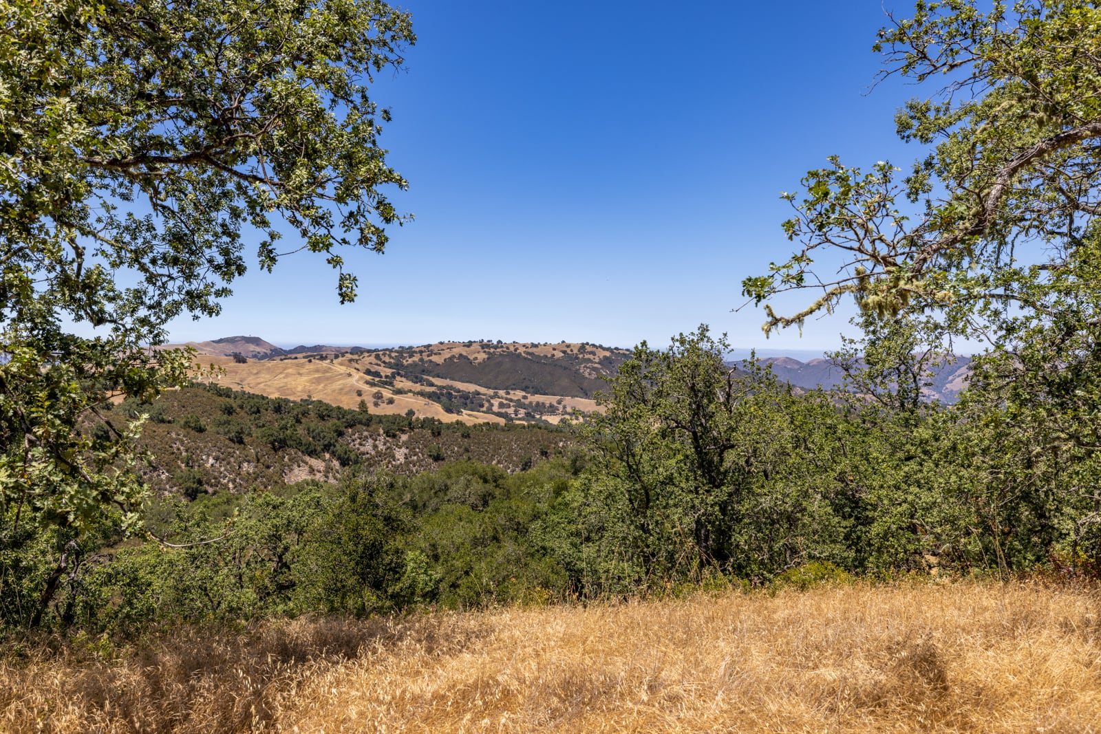 229 Santa Lucia Preserve - High Resolution (19 of 68)