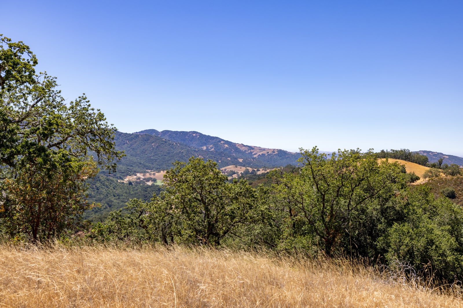 229 Santa Lucia Preserve - High Resolution (21 of 68)