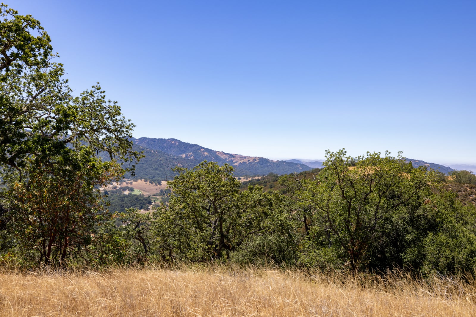 229 Santa Lucia Preserve - High Resolution (23 of 68)