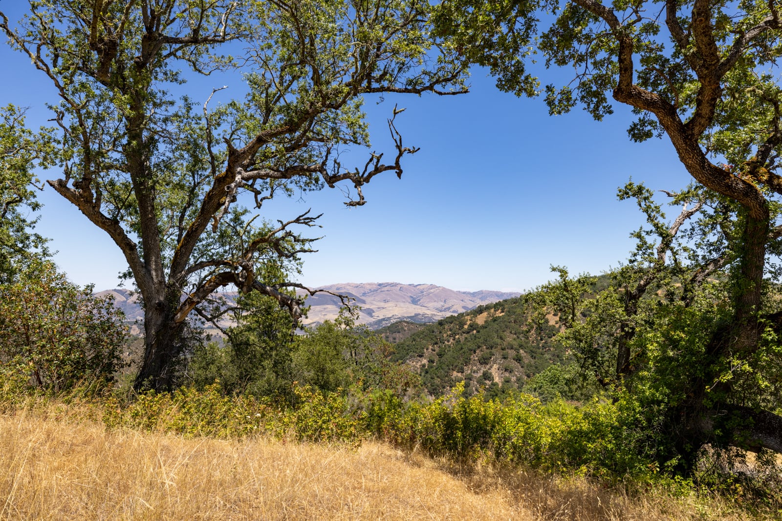 229 Santa Lucia Preserve - High Resolution (24 of 68)