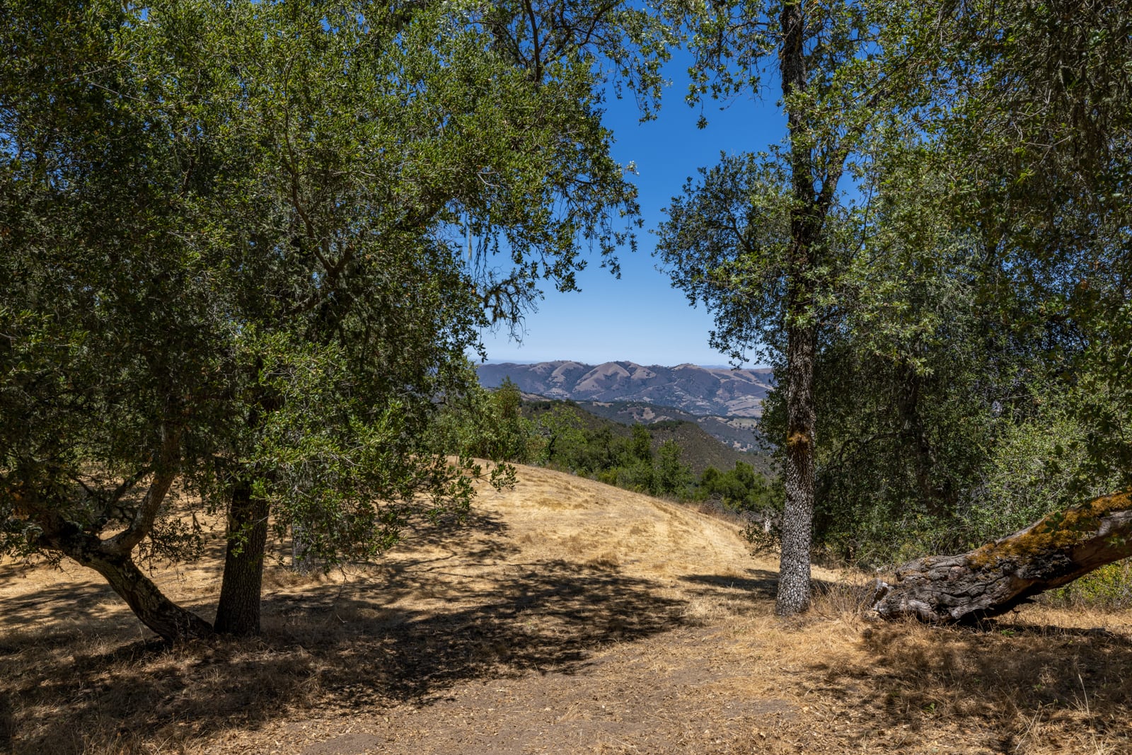 229 Santa Lucia Preserve - High Resolution (30 of 68)