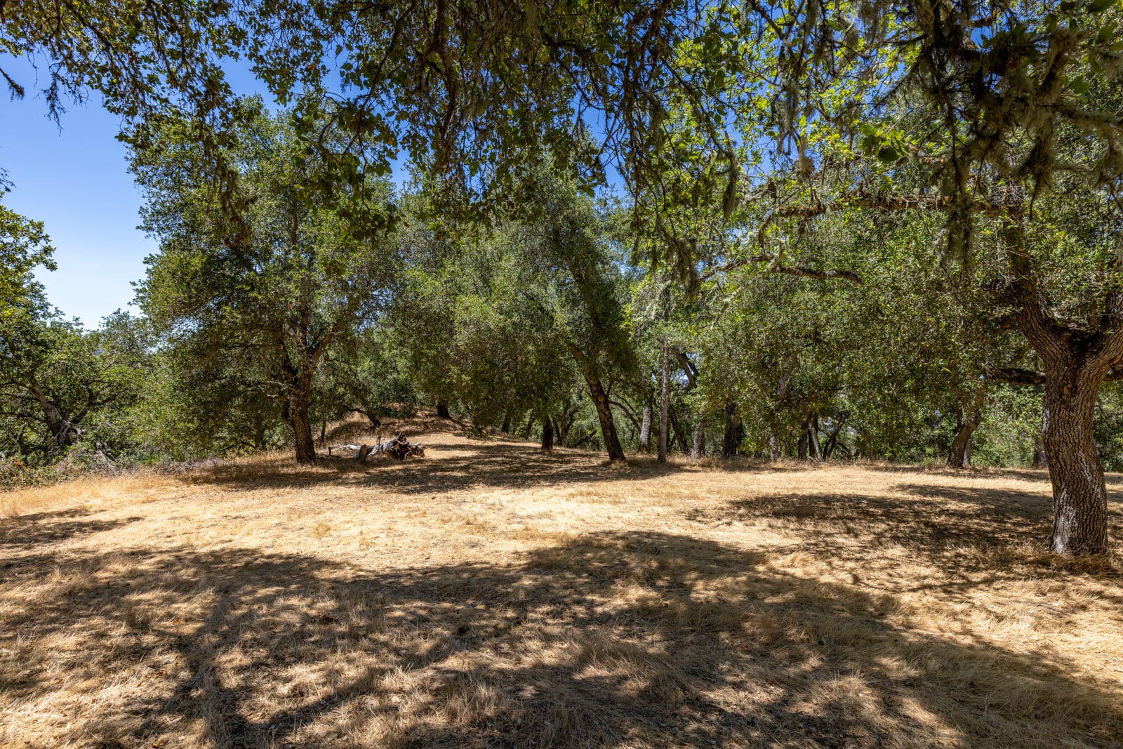 229 Santa Lucia Preserve - High Resolution (34 of 68)