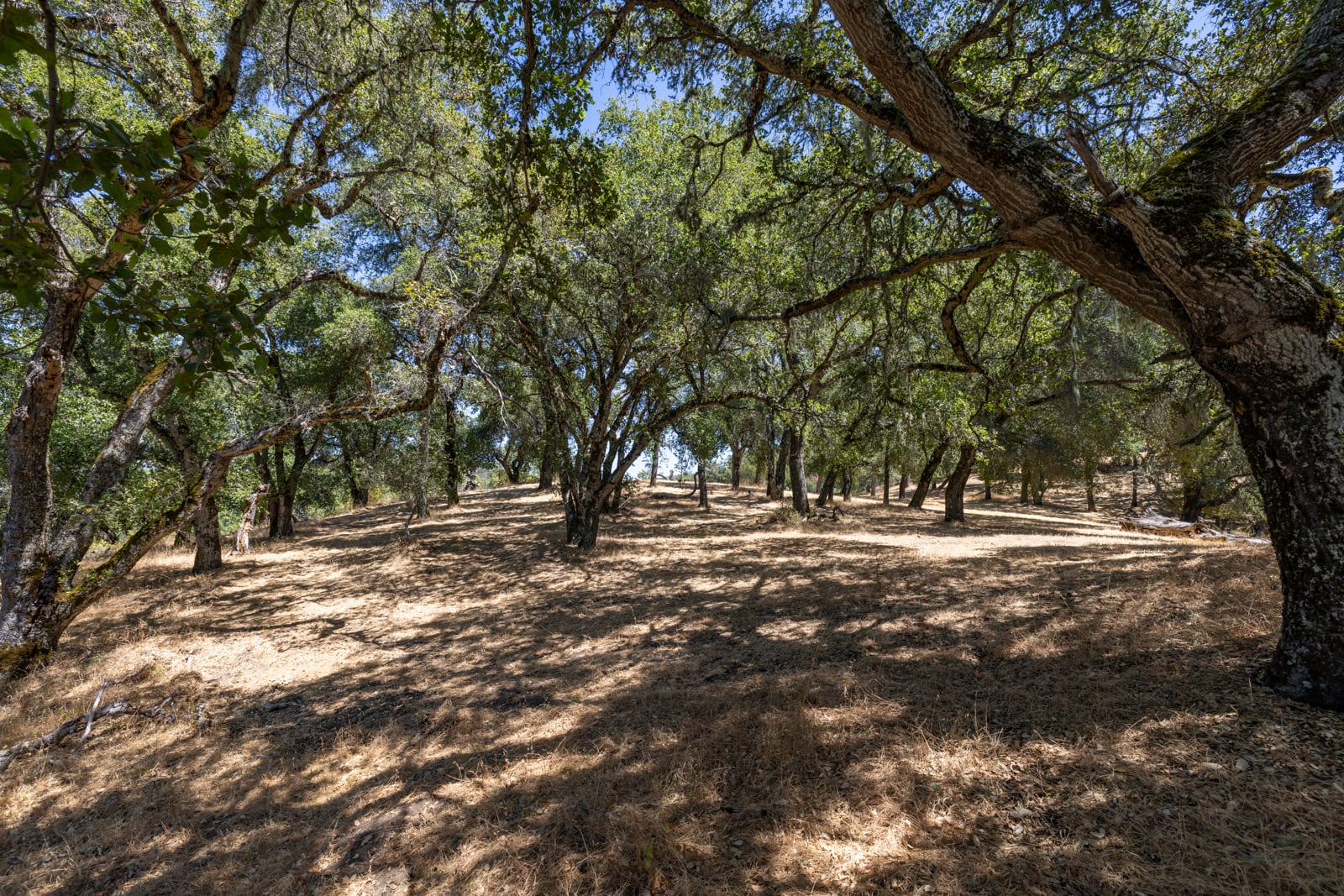 229 Santa Lucia Preserve - High Resolution (36 of 68)