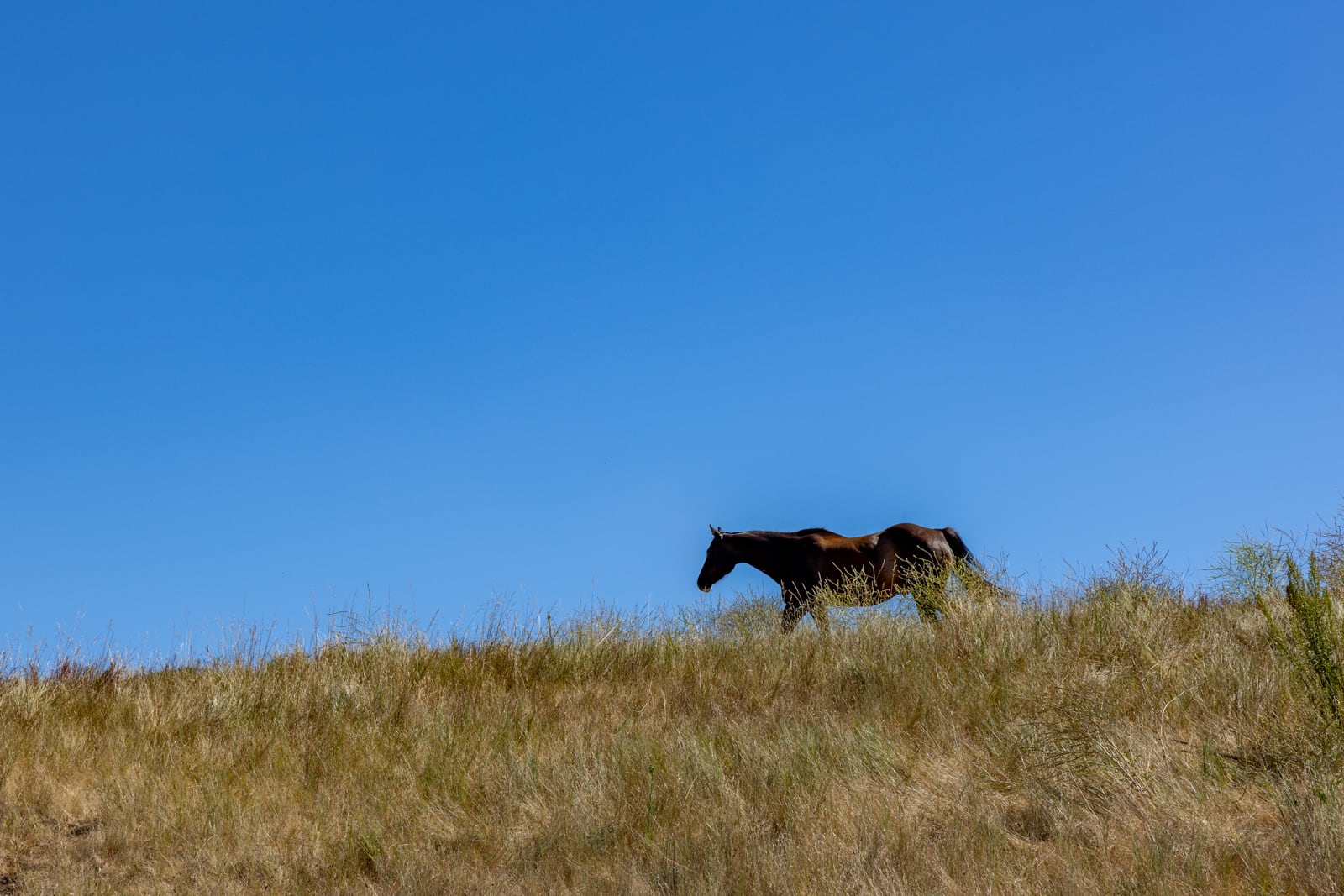 229 Santa Lucia Preserve - High Resolution (48 of 68)