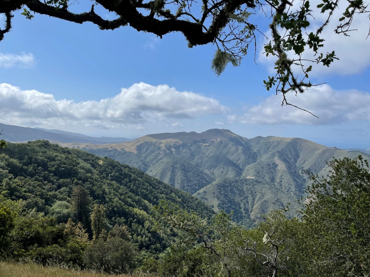 22MLS_23 VT_V9 - 23 Vasquez Trail - La Tierra Realty 2023