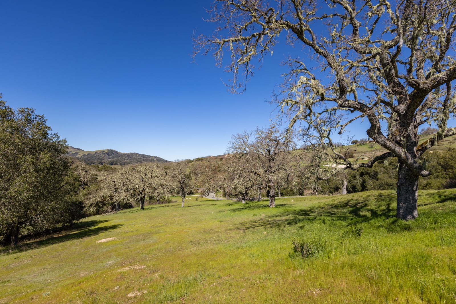 24 Pronghorn Run-1 - © Carmel Realty Company 2024