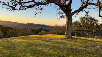 26MLS_23 VT_4572 - 23 Vasquez Trail - La Tierra Realty 2023